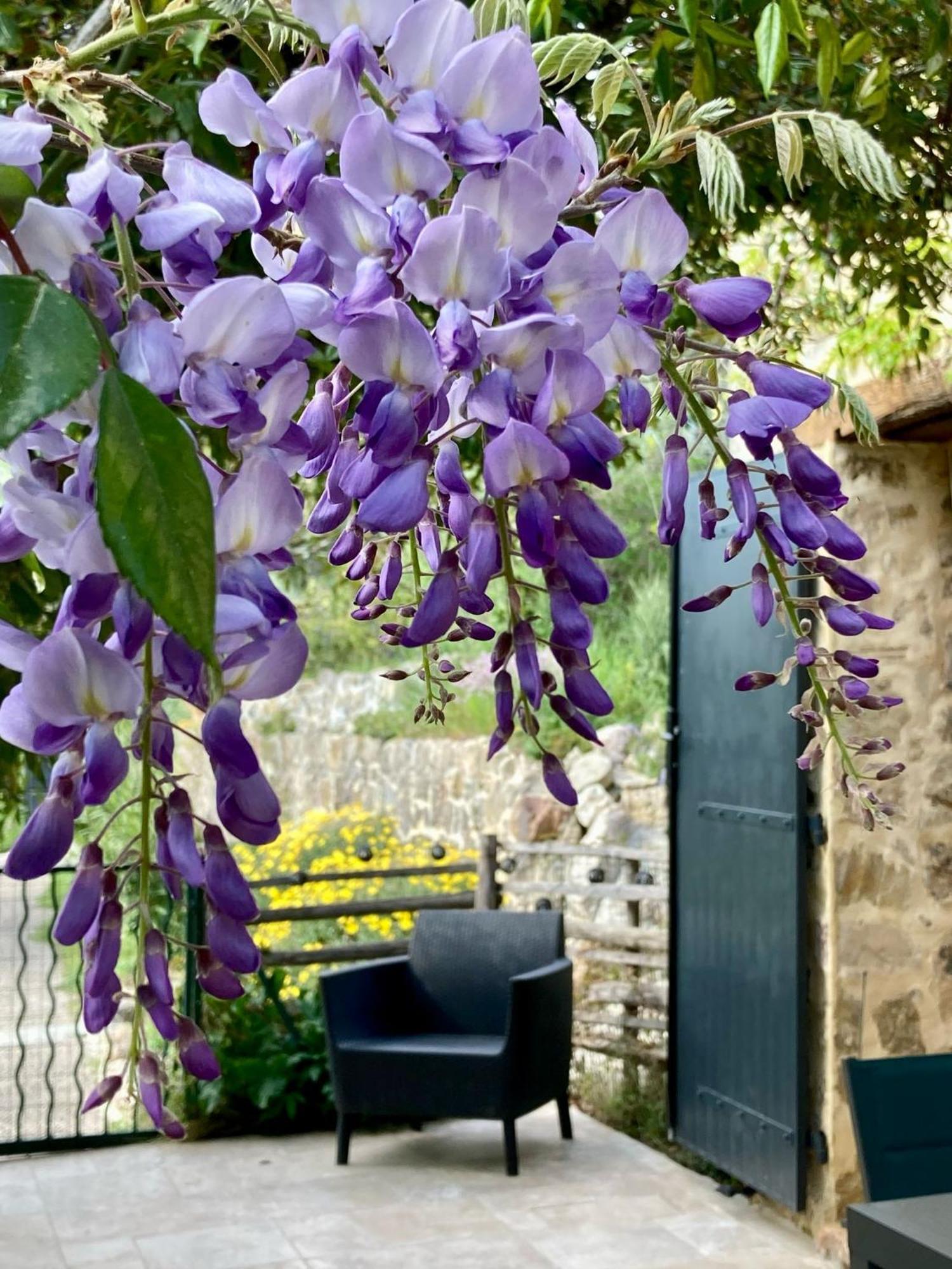 Les Genets Villa Fayence Exteriör bild