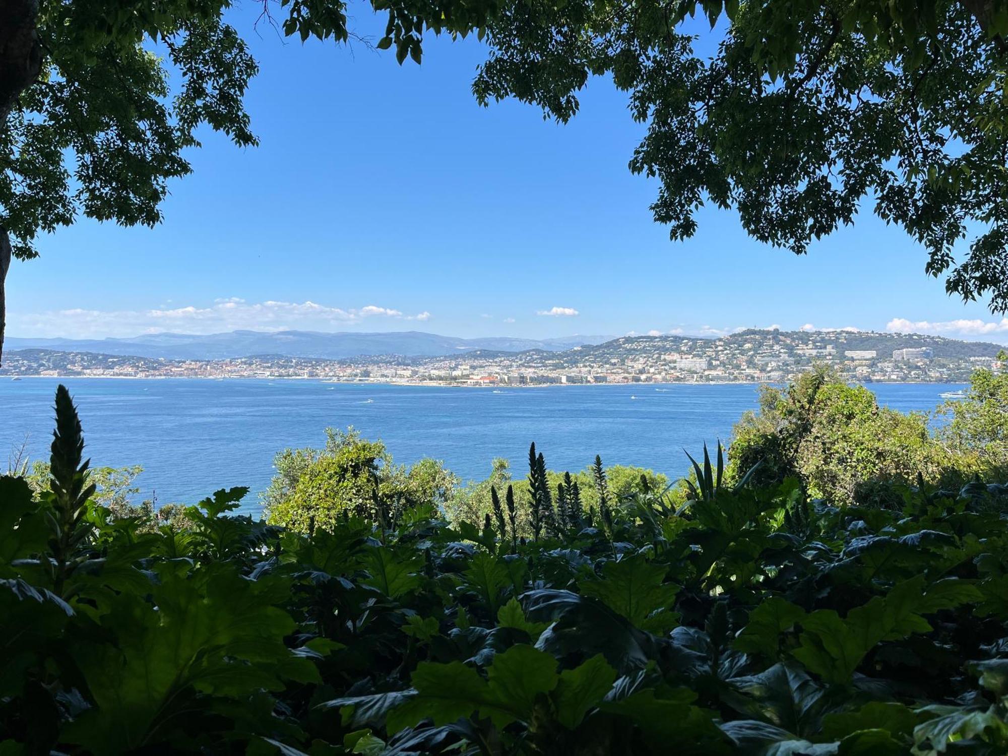 Les Genets Villa Fayence Exteriör bild